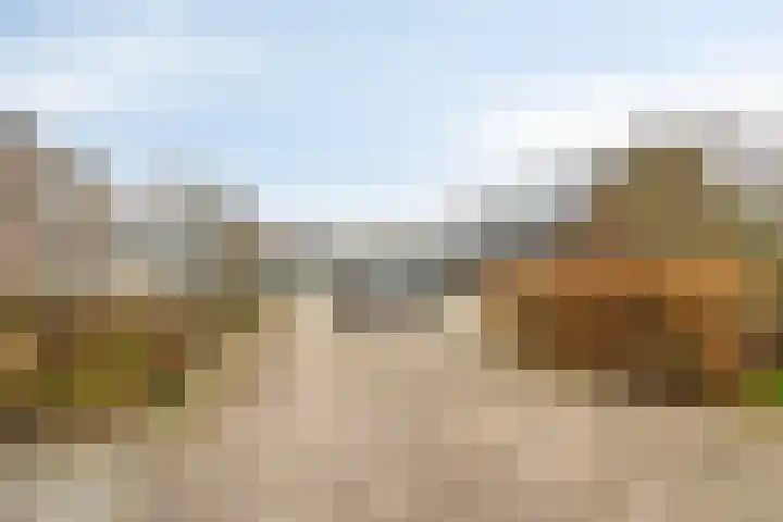 Sprikkenveen 19 Vries thumbnail 58