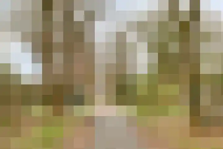 Sprikkenveen 19 Vries thumbnail 64