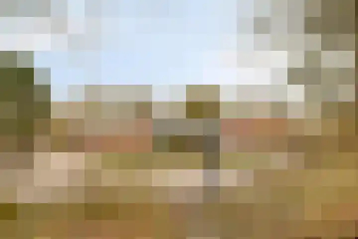 Sprikkenveen 19 Vries thumbnail 65