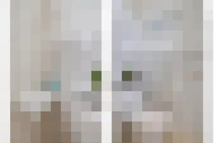 Sprikkenveen 19 Vries thumbnail 7