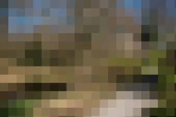 Springendalhoek 6 Enschede thumbnail 34