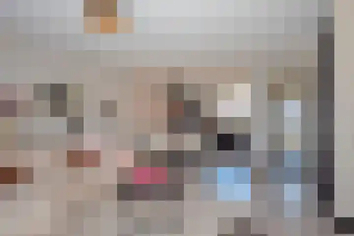 Springendalhoek 6 Enschede thumbnail 6
