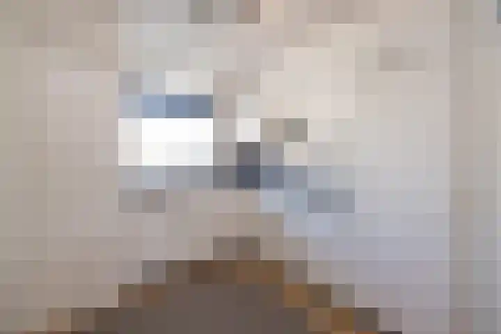 Springtij 6 Noordwijk thumbnail 10