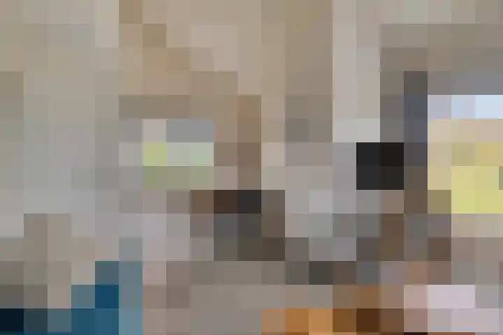 Springvloed 16 Zoutelande thumbnail 16