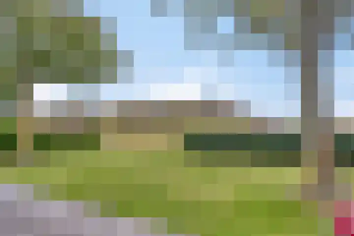 Springvloed 16 Zoutelande thumbnail 22