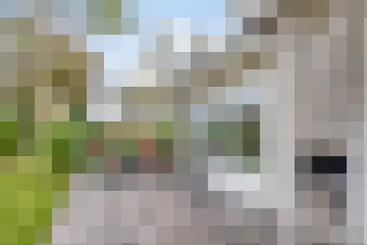 Springvloed 16 Zoutelande thumbnail 23