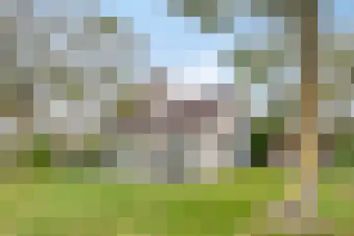 Springvloed 16 Zoutelande thumbnail 26