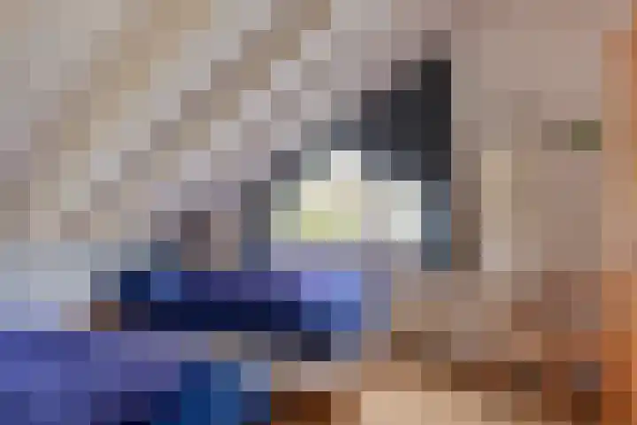 Springvloed 16 Zoutelande thumbnail 32