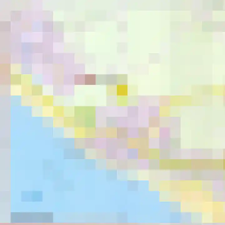Springvloed 16 Zoutelande thumbnail 36