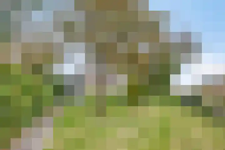 Springvloed 16 Zoutelande thumbnail 4