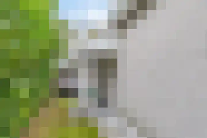 Springvloed 16 Zoutelande thumbnail 5