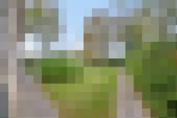 Springvloed 16 Zoutelande thumbnail 6