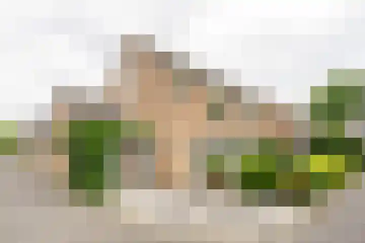 Sprokenpad 2 in Amersfoort