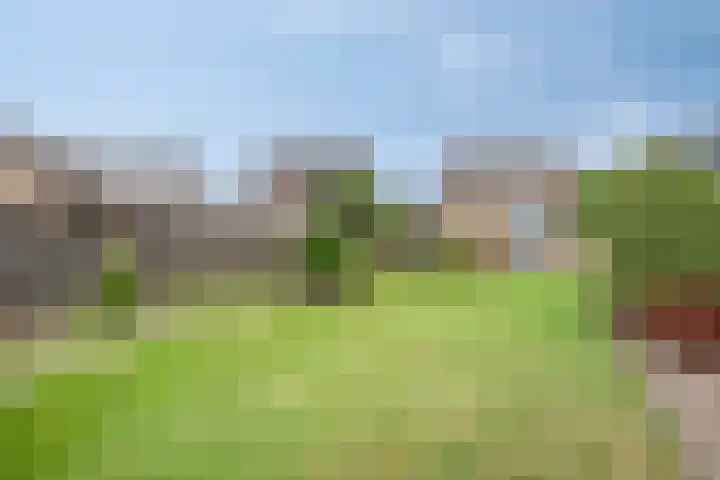 Sprokkelveld 39 Milsbeek thumbnail 25