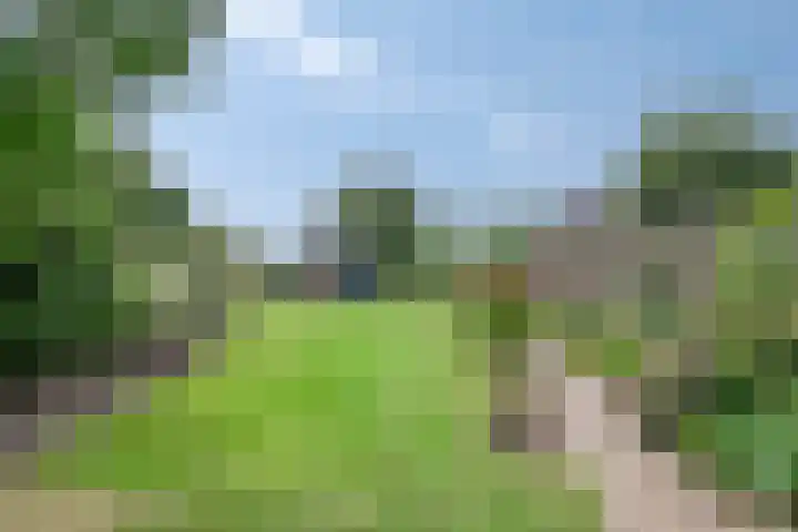 Sprokkelveld 39 Milsbeek thumbnail 26