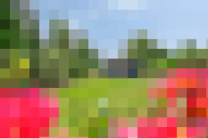 Sprokkelveld 39 Milsbeek thumbnail 27