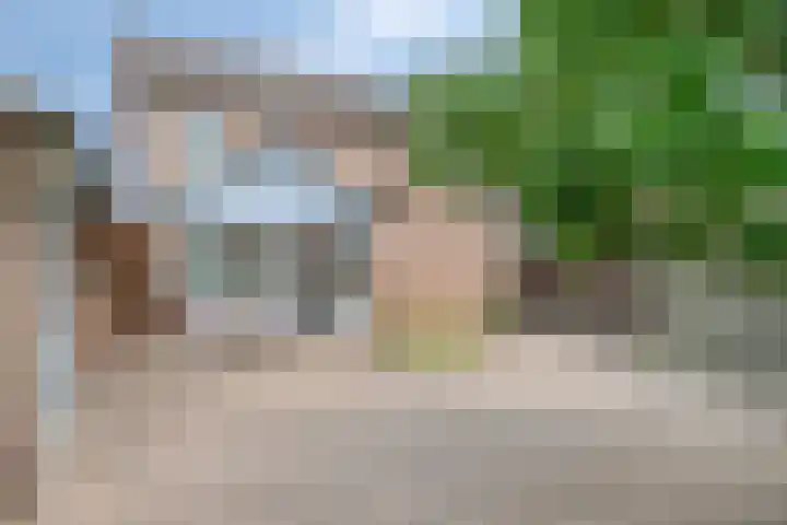 Sprokkelveld 39 Milsbeek thumbnail 31