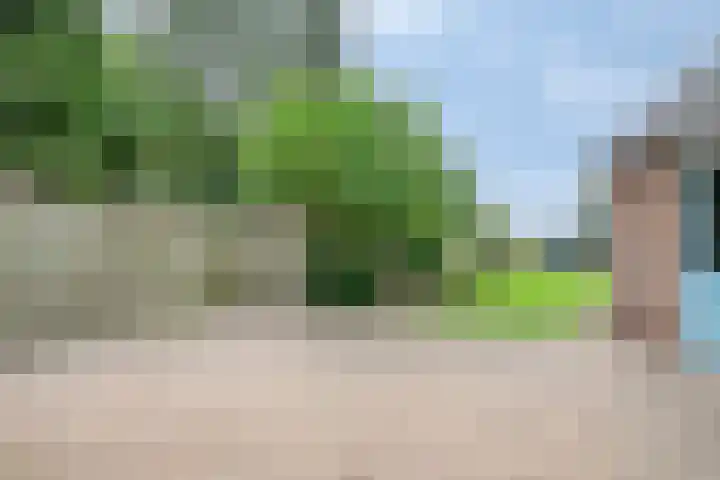 Sprokkelveld 39 Milsbeek thumbnail 34