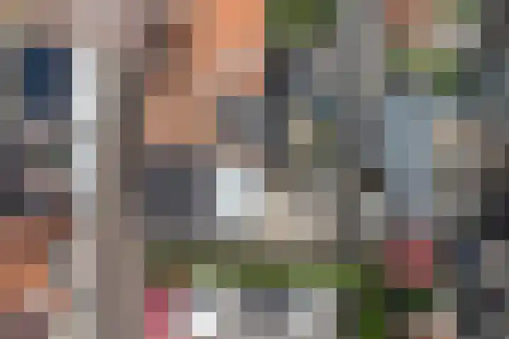 Spruitstraat 29 Yerseke thumbnail 21