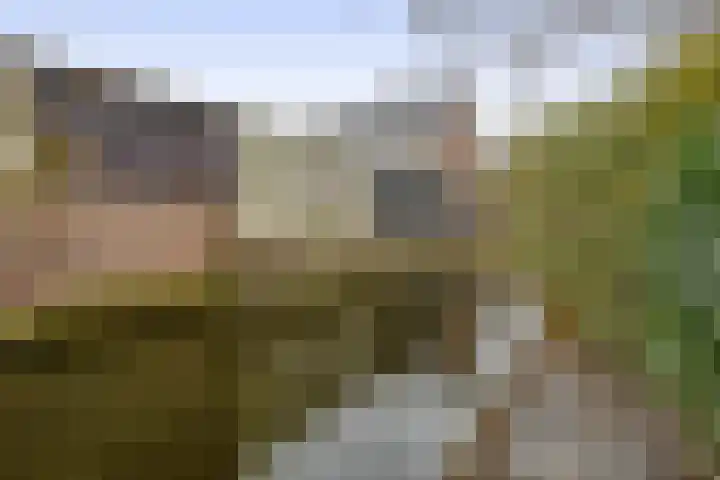 Spui 12 Waddinxveen thumbnail 18