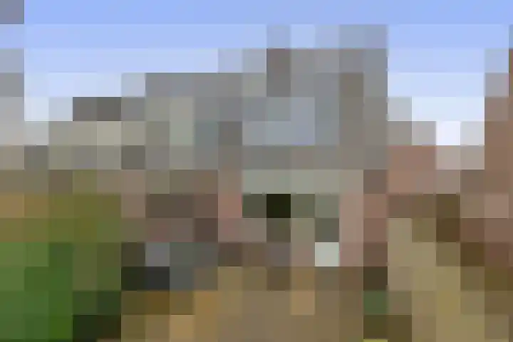 Spui 12 Waddinxveen thumbnail 20