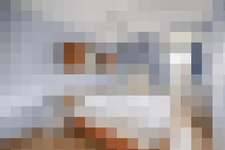 Spui 12 Waddinxveen thumbnail 22