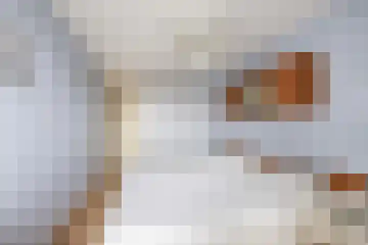 Spui 12 Waddinxveen thumbnail 23