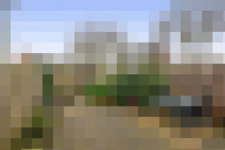 Spui 12 Waddinxveen thumbnail 4