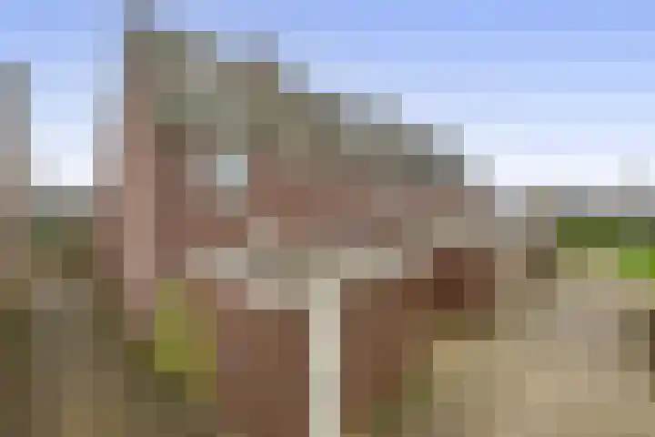 Spui 12 Waddinxveen thumbnail 6