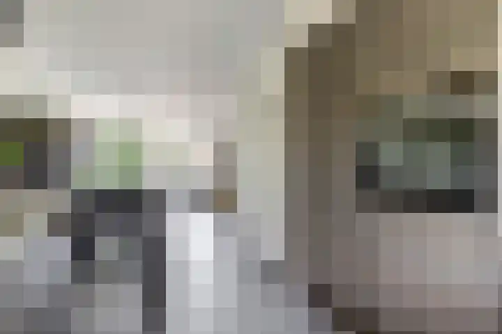 Spui 20 Waddinxveen thumbnail 17