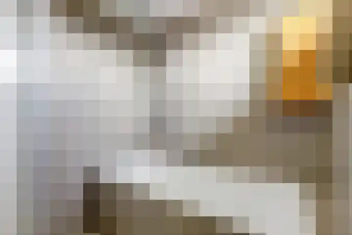 Spui 20 Waddinxveen thumbnail 29