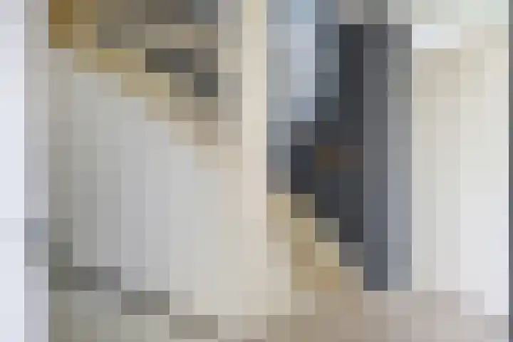 Spui 20 Waddinxveen thumbnail 32