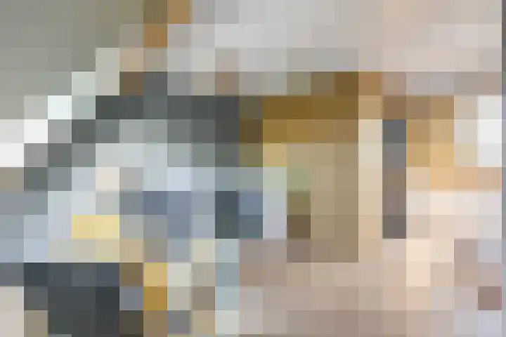 Spui 20 Waddinxveen thumbnail 34