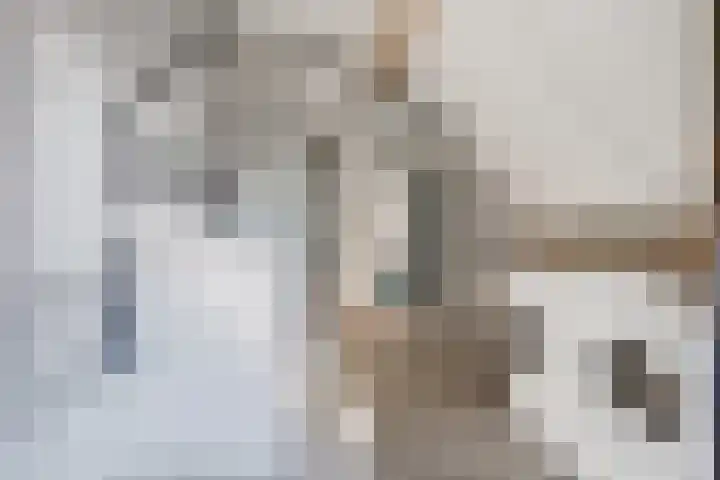 Spui 20 Waddinxveen thumbnail 37