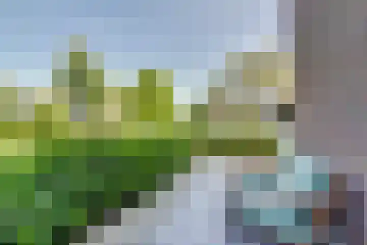 Spui 20 Waddinxveen thumbnail 42