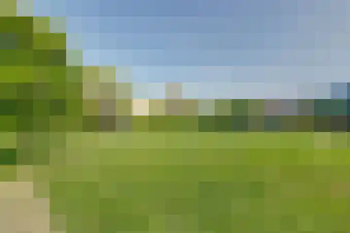 Spui 20 Waddinxveen thumbnail 43