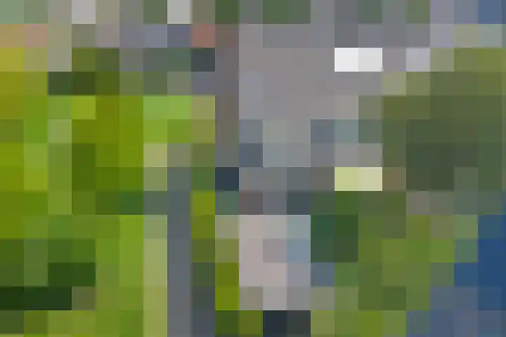 Spui 20 Waddinxveen thumbnail 45