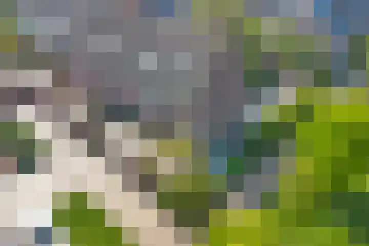 Spui 20 Waddinxveen thumbnail 6