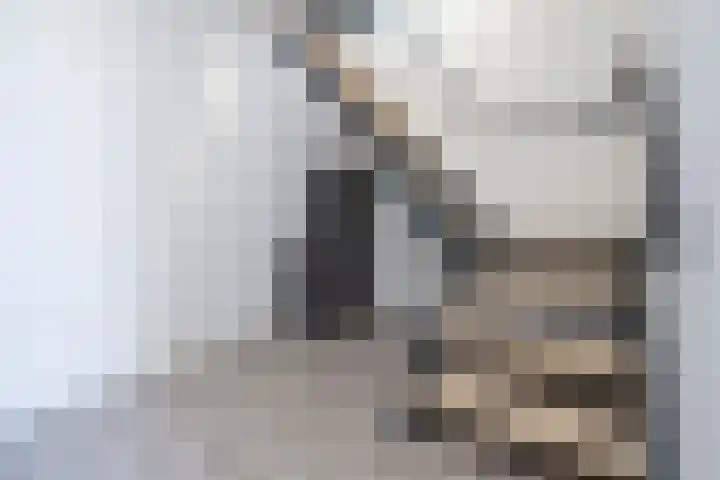 Spui 62 Middelharnis thumbnail 6