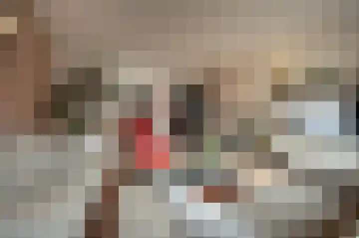 Spuidijk 23 Oud-Beijerland thumbnail 13