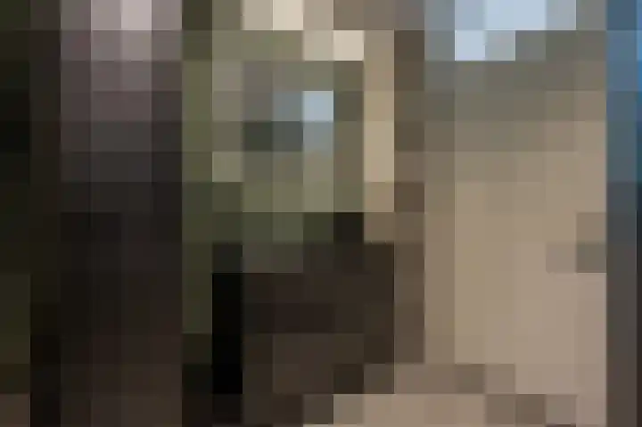 Spuidijk 23 Oud-Beijerland thumbnail 27