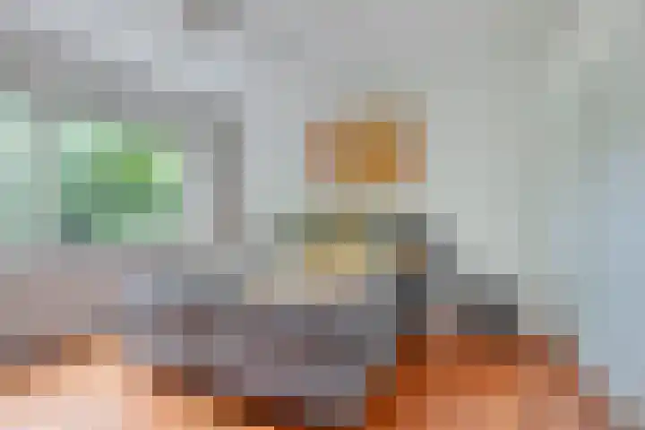 Spuilaan 3 Oudenbosch thumbnail 13