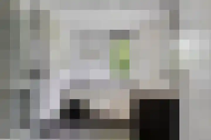 Spuilaan 3 Oudenbosch thumbnail 15