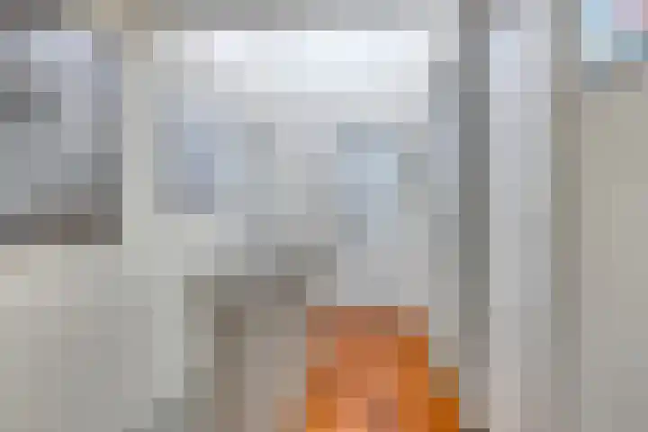 Spuilaan 3 Oudenbosch thumbnail 19