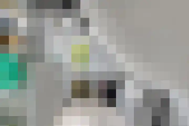 Spuilaan 3 Oudenbosch thumbnail 26