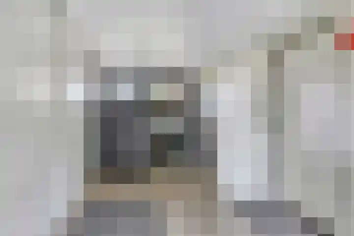 Spuilaan 3 Oudenbosch thumbnail 31