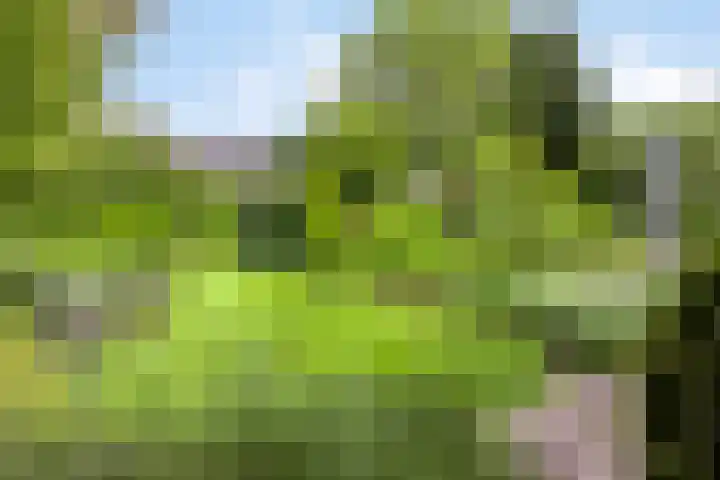 Spuilaan 3 Oudenbosch thumbnail 34