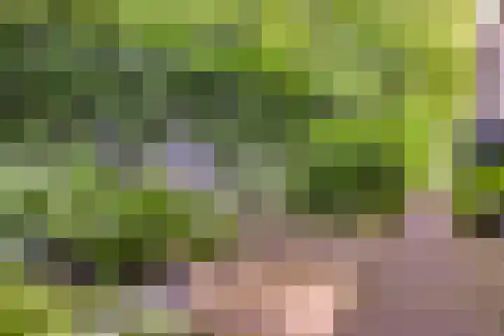 Spuilaan 3 Oudenbosch thumbnail 36