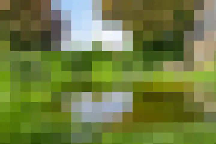 Spuilaan 3 Oudenbosch thumbnail 37