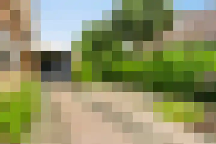 Spuilaan 3 Oudenbosch thumbnail 38